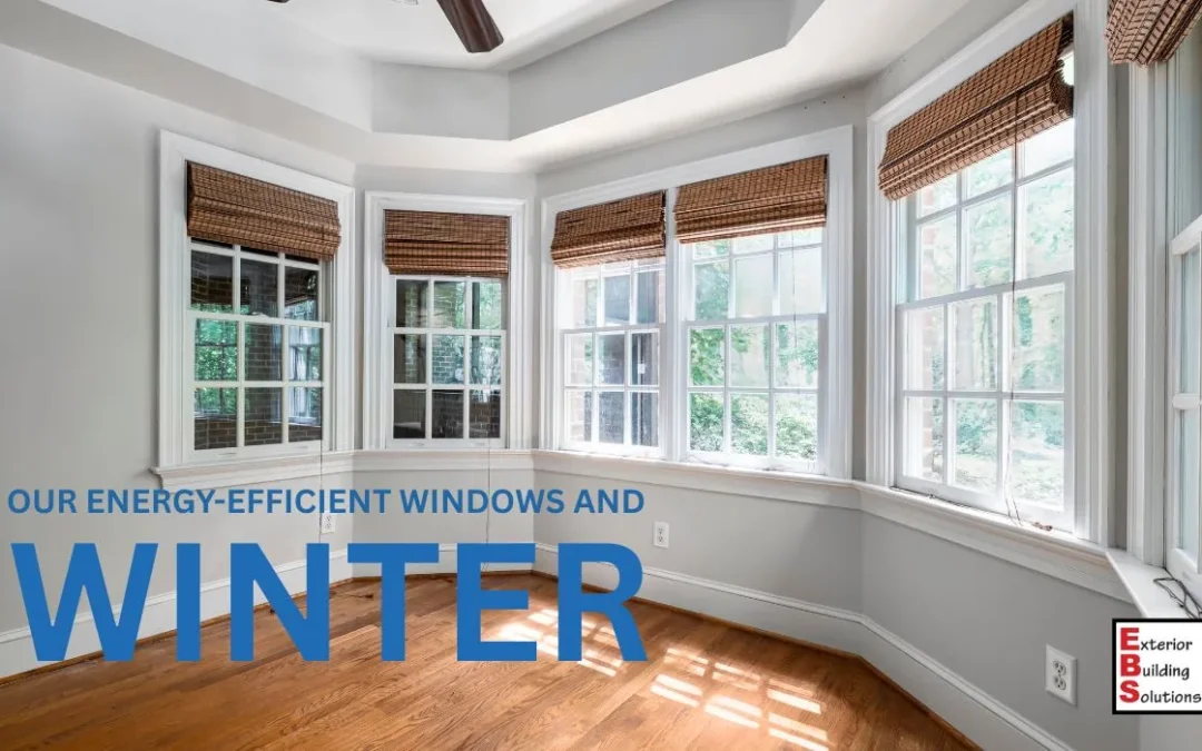 Our Energy-Efficient Windows and Winter