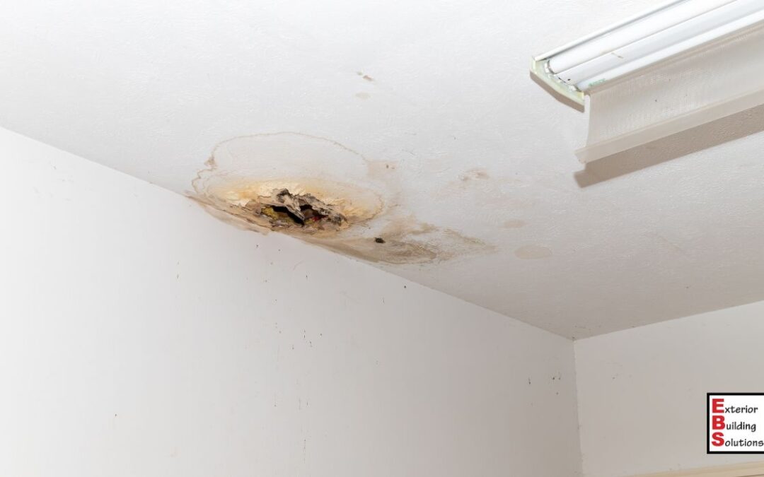 How to Spot Roofing Damage and Prevent Leaks