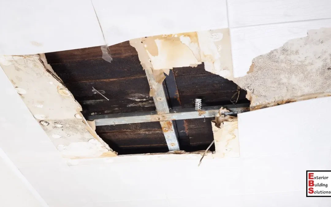 3 Common Causes of Water Damage and How to Deal With Them