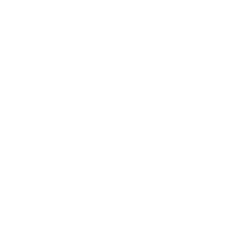 Masonry-Brick and Stone