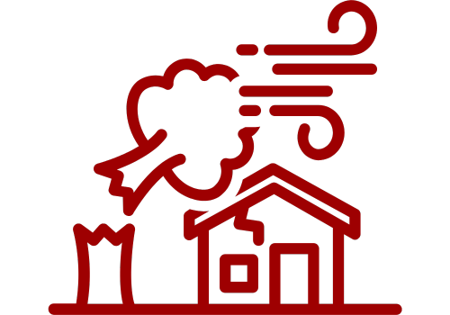 Storm Damage Repair Icon