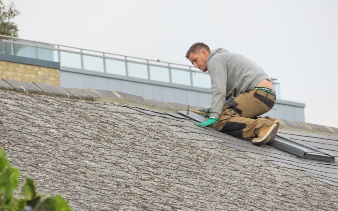 When to Consider Roof Leak Repair in Ellisville, MO